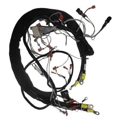 China Automobile A Advance For GM Engine LS1 Wiring Harness Custom 1999-02 for sale