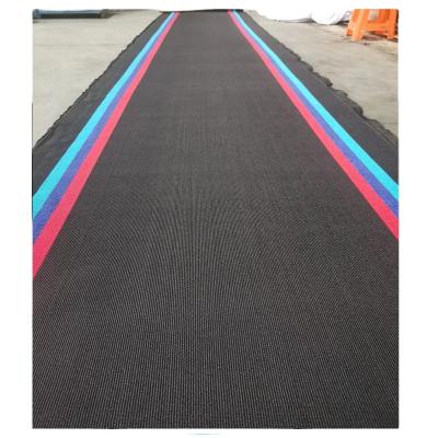 China Customized Logo China Manufacturer Loop Car Mat Coil PE Carpet Rolls for sale