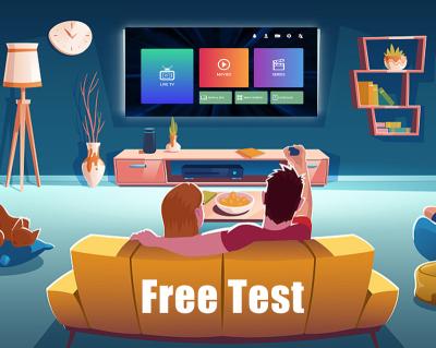 China High Sensitivity Free Trial 4k Iptv Subscription Code Reseller Smart TV M3u 4k Panel For Android TV Dino Smart for sale