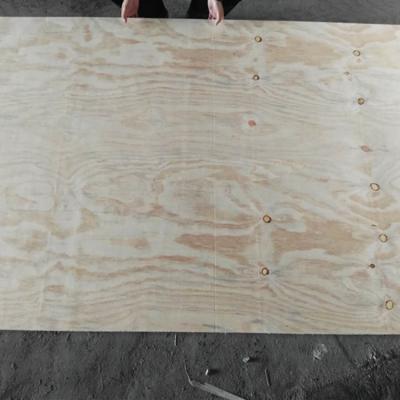 China Cheap price CDX traditional grade pine face plywood poplar core E1 cdx plywood sheet 3 layers pine plywood for sale