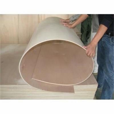 China Flexible beech industrial hardwood plywood, bending plywood 5mm, curved chair plywood for sale