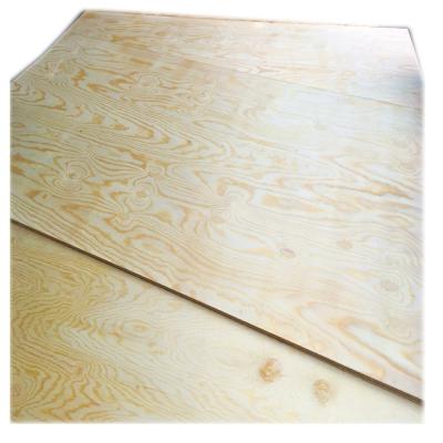 China 3/4 brand new indoor cdx plywood with low price for sale