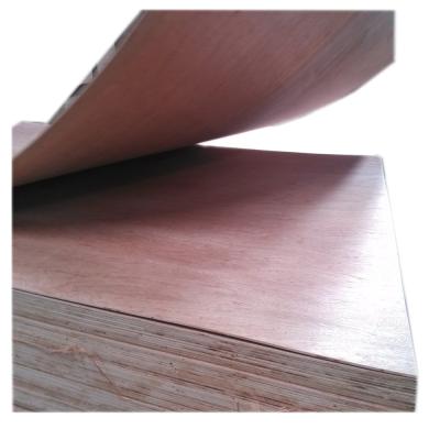 China Large size 1500mm wide modern poplar plywood for furniture making for sale