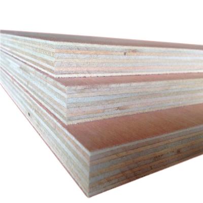 China Modern oversized poplar core bb/cc okoume veneered 10 feet plywood 3050mm for sale