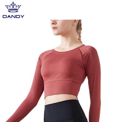 China High Quality Breathable Elastic Yoga Top Sports Wear Sheaths Long Yoga Tops Home Wear Wholesale For Women for sale