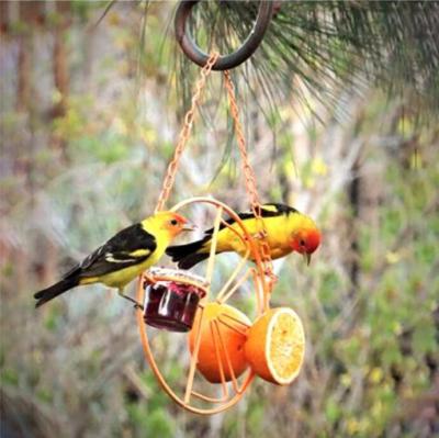 China Sustainable garden humming bird hanging feeder, made of iron and glass for sale