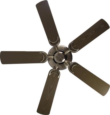 China New Modern Design Positive Large Size Steel Household Decorative DC Ceiling Fan for sale