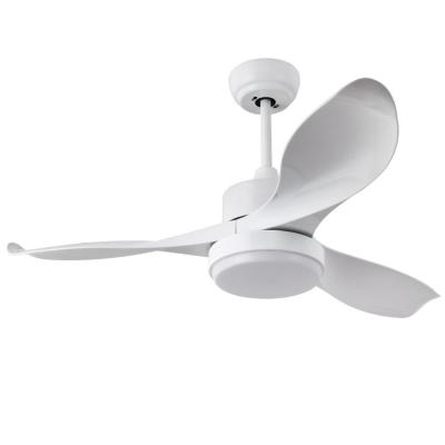 China Various modern promotional goods using designers ceiling fans with remote control and led light for sale