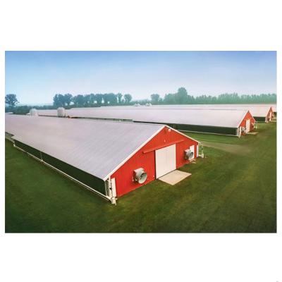 China Prefab poultry farm chicken housing construction shed farms china manufacture for sale