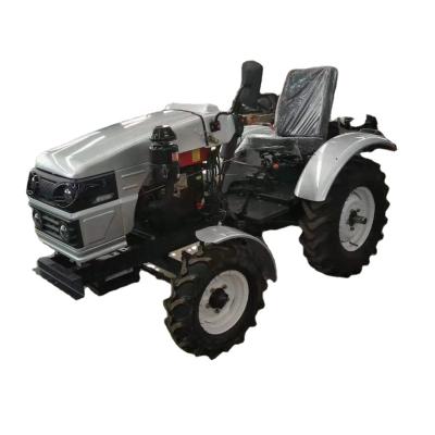 China Mini Farms 20hp 2wd Farm Tractor With Rear PTO for sale