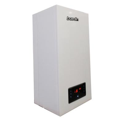 China Exterior Wall Hung Gas Boiler Combination Domestic Gas Boiler For Heating And Hot Water for sale