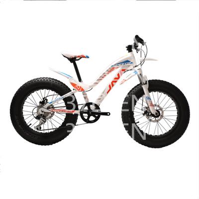 China 20 Inch Aluminum Alloy JAVA FAST Children's Bike Mountain Bike 7 Speed ​​Disc Brake Snow Tire Aluminum Alloy Frame Snow Bike Fat Kids MTB for sale