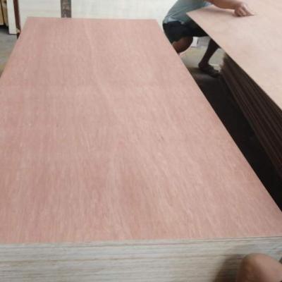 China E2 Modern Glue 4mm 5 Mm 6mm Cheap Poplar Full Core Bintangor Full Face Veneer Plywood for sale