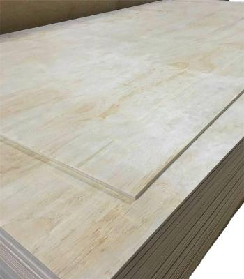 China Modern HOT SELLING CONSTRUCTION PLYWOOD 18MM PINE PINE PLYWOOD CDX GRADE PLYWOOD for sale