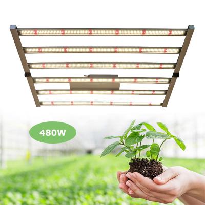 China Seed Starting Dimmable Medical Planting High Mushroom PPE Greenhouse Lamp Foldable Greenhouse Full Spectrum For Growing Light for sale