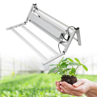 China Seed Starting Planting Dimmable Lamp High Medical LED PPE Mushroom Greenhouse Full Spectrum 600 Watt Grow Light for sale