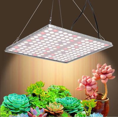 China Seed Starting Commercial Full Spectrum 1000 Watt LED Grow Light Board Plant Lights For Greenhouse for sale