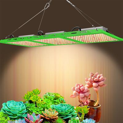 China Seed Starting High Efficiency Greenhouse Greenhouse Grow Lamp LM281B Waterproof Panel LED Grow Light for sale