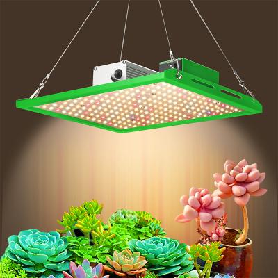 China Seed Starting High PPFD SAMSUNG LM281B LED Grow Light Board Full Spectrum 50W 100W Indoor Plants Lamp for sale