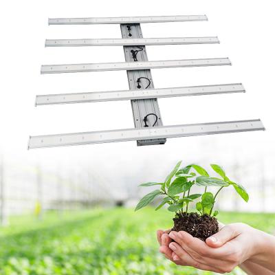 China Seed Starting Professional Indoor Garden Plant Grow Lamp Waterproof Full Spectrum LED Grow Light Strips for sale