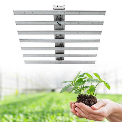 China Seed Starting Medical Planting Lamp 5/6/7/8/10 Bar Dimmable High PPE Mushroom Greenhouse Medical Full Spectrum For Growing Light for sale