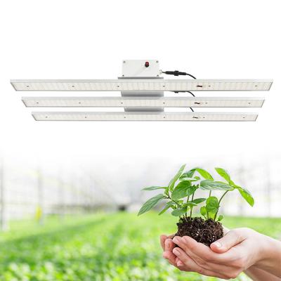 China Seed Starting Greenhouse Planting High Power 0-10V Dimmable 3 Bar Lamp 300 Watt Indoor Plants Grow Light for sale