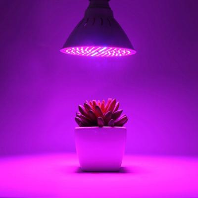 China Seed Starting 220V Wholesale Flower Growing Indoor Plant VEG Lamp LED Grow Light Bulb With Stand for sale