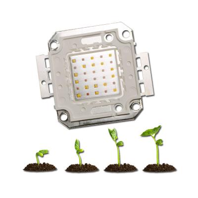 China Plant Grow Light Factory Wholesale 30*3W LED Special Chip Light Source For Plant Grow Lamp for sale