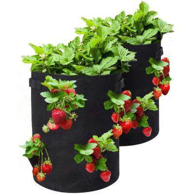 China Breathable Thickened Fabric Pots 5 7 Strawberry Felt 10 Gallon Nonwoven Grow Bag With Handles for sale