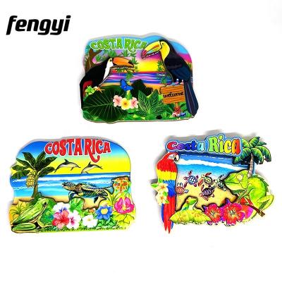 China Shape Colorful Costa Rica Island MDF Fridge Magnet Summer Beach Souvenir Magnet for sale