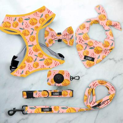 China Large Padded Dog Harness Superior Cute Small Padded Bow Set Pet Vest Bell Cat Harness Leash and Leash Set for sale