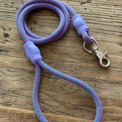 China Padded Heavy Duty Thoughtful Dog Leash Delux Dog Lead With Padded Nylon Handle Pet Lead for sale