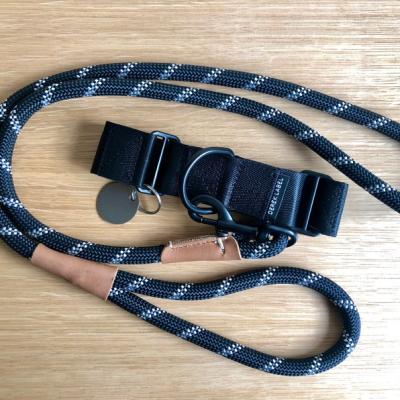 China Factory Wholesale Padded Nylon Dog Rope Leash Dog Harness Leash Set for sale