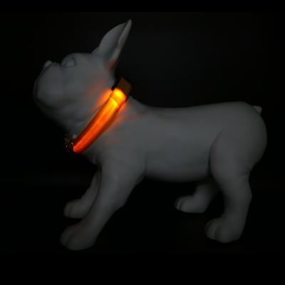 China Reflective USB Rechargeable LED Dog Collar Cat Pet Multicolor Light Up Dog Collar for sale