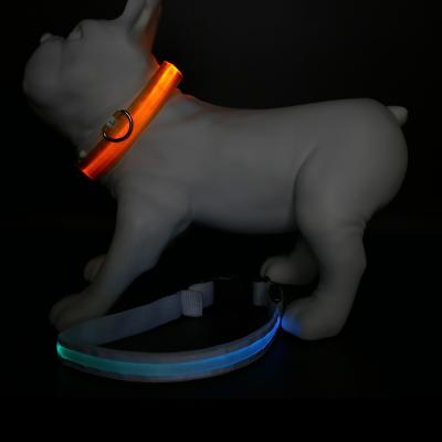 China Thoughtful Pet Led Collar Led Dog Collars Rechargeable USB Rechargeable Lightweight Collar Available In Different Colors for sale