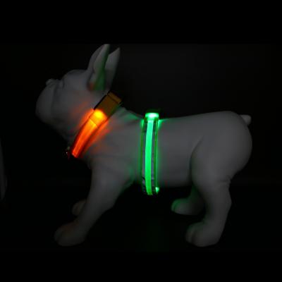 China Reflective Glowing Dog Collar For Night Safety With USB Rechargeable Super Bright LED Flashing Dog Collar for sale