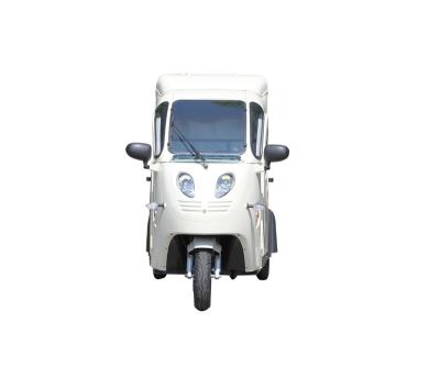 China Passenger Fully Enclosed Raptor Majestic Electric Trike For Passengers Mini Electric Tuk Tuk Tricycle for sale