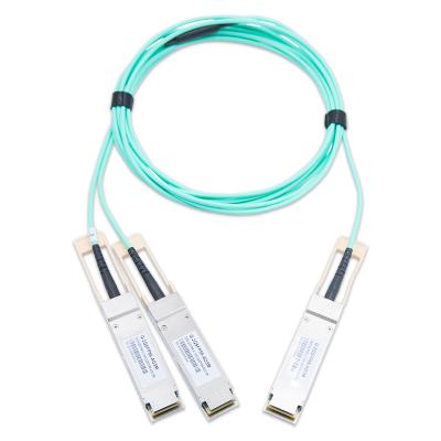 China 200G QSFP56 To 2x100G QSFP56 Breakout Active Optical Cable 850nm 0-100m Length OEM/ODM Te koop