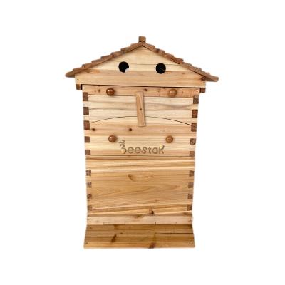 China Chinese Fir Wood Beehive And Frame With Automatic Honey Flow For Beekeeping Requirements for sale