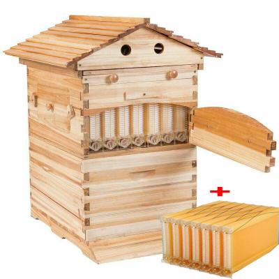 China Bee Star Langstroth Flow Hive Beehive With 7 Plastic Frames Beehives And Frame For Beekeeping for sale