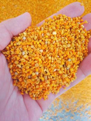 China Mixed Fresh Raw Bee Pollen Full Of Nutricion Big Granual for sale