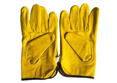 Chine Gants blancs ou jaunes de peau de mouton d'Equipment Hand Protect d'apiculteur de l'apiculture sans manchette à vendre