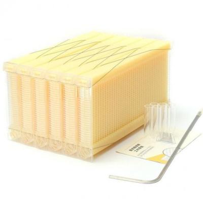 China Plastic Honey Flow Frame Of Self-Flowing Honey Bee Hive Flow Beehive for sale