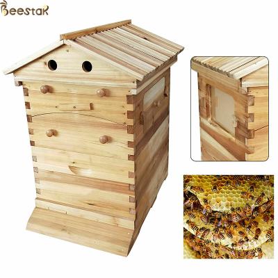 China Beehive Apiculture Beekeeping Equipment Automatic Self Flowing for Beekeeping for sale