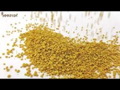 Big Granual Rape Bee Pollen Raw Organic Food Grade Factory Directly Sale