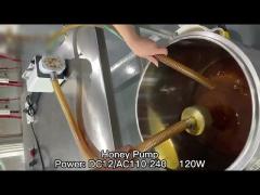 Smart Honey Pump For Transferring And Filtering Paste Honey And Jam Machine