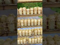 Bee Product 20kgs Organic Fresh Royal Jelly Pure Fresh Queen Food