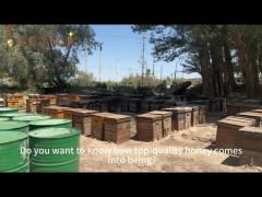 Pure Fresh Tea Pollen Natural Bee Foods Factory Directly Sale