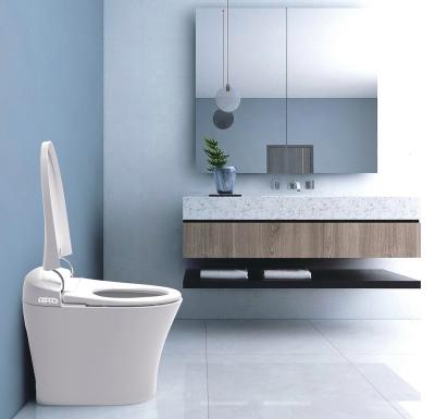 China Hidden Cistern WHITE COLOR JAPANESE ELECTRONIC SMART TOILET SEAT for sale