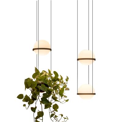 China Modern Indoor Factory Living Light Green Decoration Led Lighting Modern Factory Simple Led Pendant Light for sale